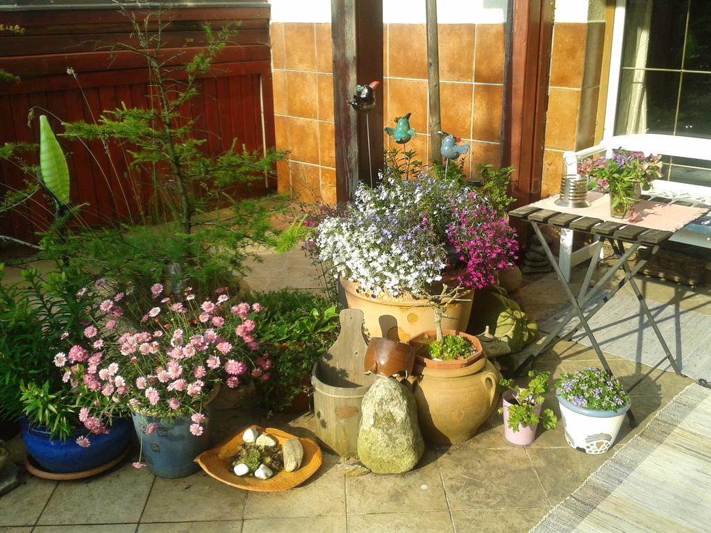 Pension Andante Spindleruv Mlyn Bagian luar foto
