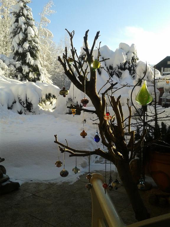 Pension Andante Spindleruv Mlyn Bagian luar foto