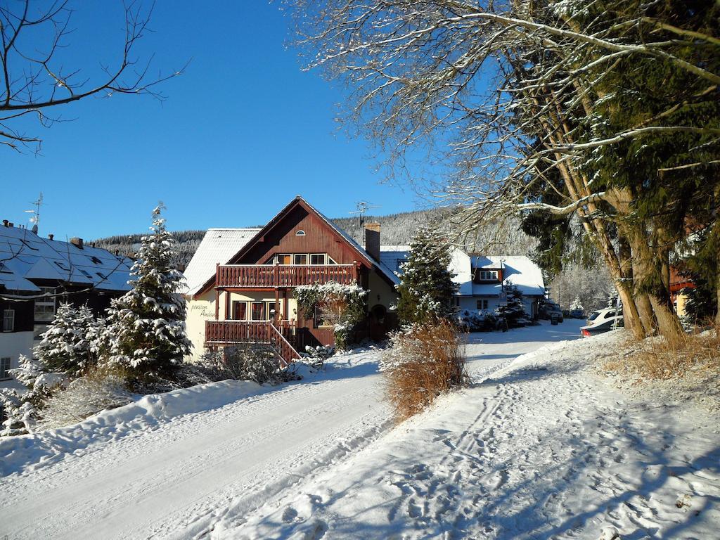 Pension Andante Spindleruv Mlyn Bagian luar foto