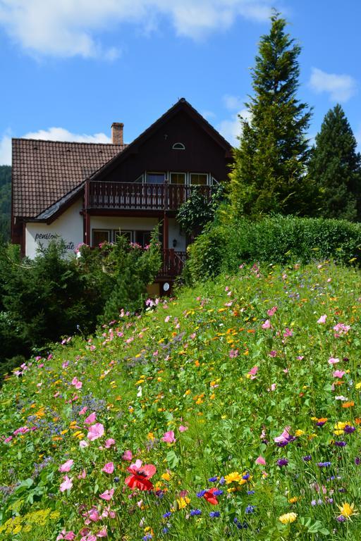 Pension Andante Spindleruv Mlyn Bagian luar foto